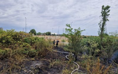 Incendiile de vegetație: Cauze si intervenția cu motopompe flotabile în zonele cu acces limitat la surse de apă