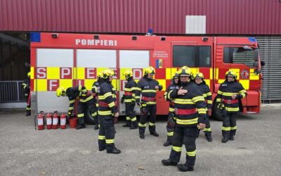 Servicii private – Criterii de performanţă privind constituirea, încadrarea şi dotarea serviciilor private pentru situaţii de urgenţă